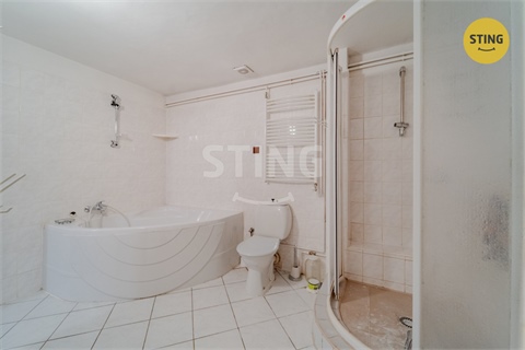 Prodej rodinného domu, 497 m² - 10