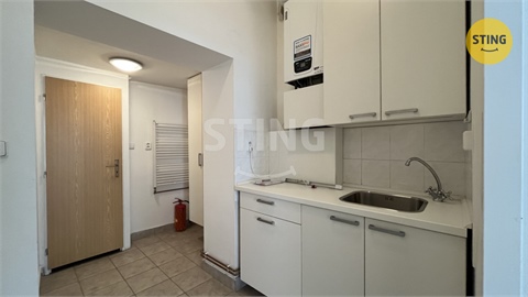 Pronájem obchodních prostor, 38 m² 2