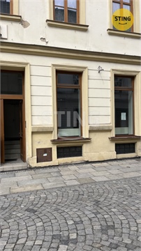 Pronájem obchodních prostor, 38 m² 10
