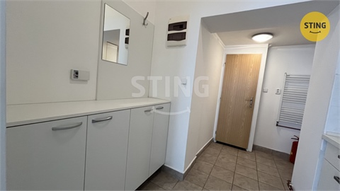 Pronájem obchodních prostor, 38 m² 6
