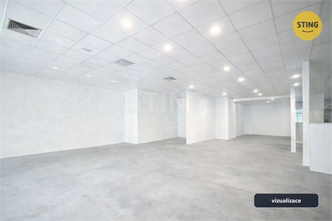 Pronájem obchodních prostor, 220 m² 2