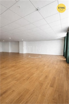 Pronájem obchodních prostor, 125 m² - 0