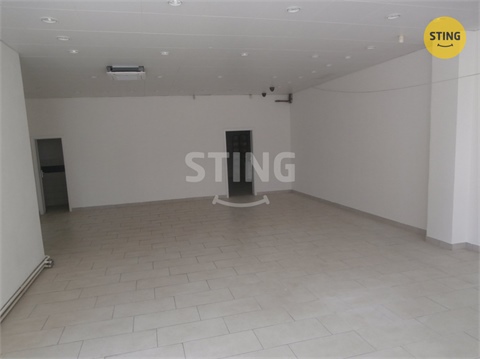 Pronájem obchodních prostor, 240 m² - 2