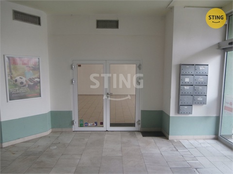 Pronájem obchodních prostor, 240 m² 4