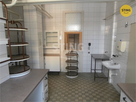 Pronájem obchodních prostor, 240 m² - 6