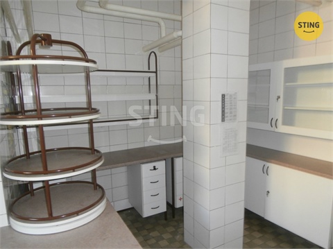Pronájem obchodních prostor, 240 m² - 4