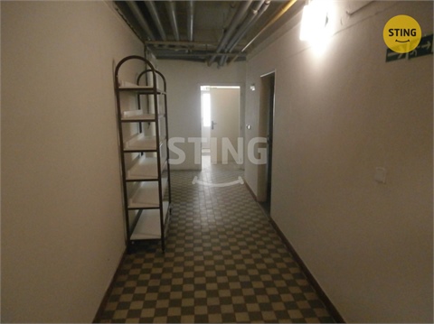 Pronájem obchodních prostor, 240 m² - 14