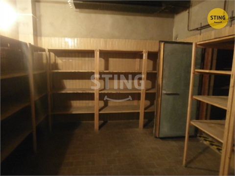 Pronájem obchodních prostor, 240 m² - 10