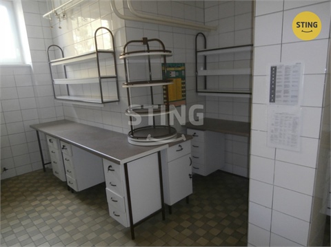 Pronájem obchodních prostor, 240 m² 18