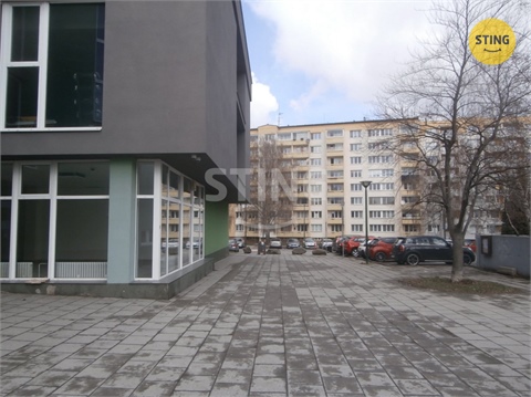 Pronájem obchodních prostor, 240 m² - 8