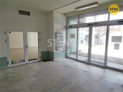 Pronájem obchodních prostor, 240 m² - 0