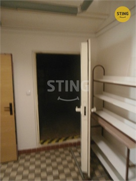 Pronájem obchodních prostor, 240 m² - 12