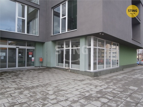 Pronájem obchodních prostor, 240 m² 8