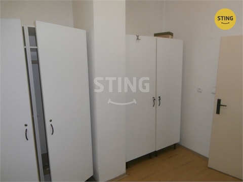 Pronájem obchodních prostor, 240 m² - 18