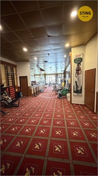Pronájem obchodních prostor, 530 m² 2