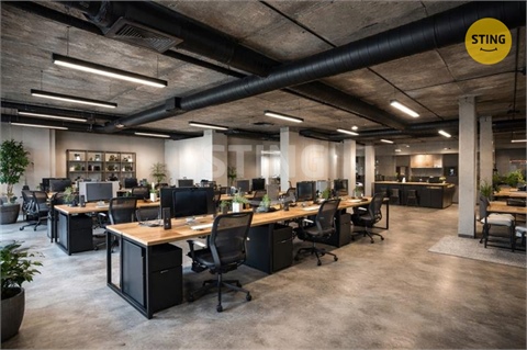 Pronájem obchodních prostor, 530 m² 6