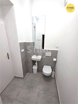 Pronájem obchodních prostor, 25 m² - 4