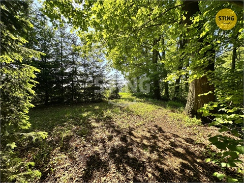 Prodej objektu, 50 m² - 18