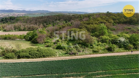 Prodej sadu, 1 561 m² 2