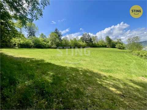 Prodej lesu, 16 440 m² 2