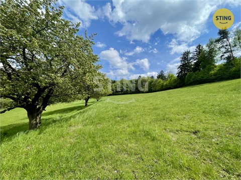 Prodej lesu, 16 440 m² 4