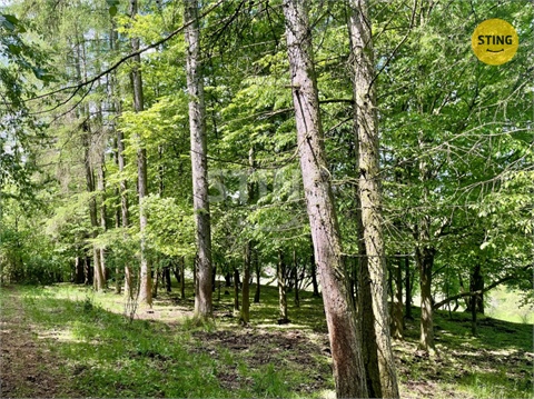 Prodej lesu, 16 440 m² - 6