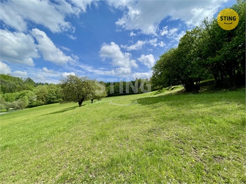 Prodej lesu, 16 440 m² - 2