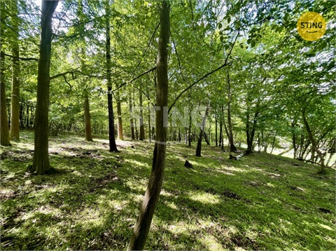 Prodej lesu, 16 440 m² 6
