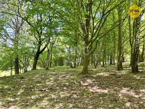 Prodej lesu, 16 440 m² 8