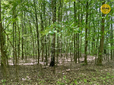 Prodej lesu, 16 440 m² - 4