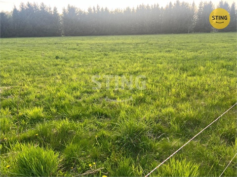 Prodej louky, 8 800 m² 4