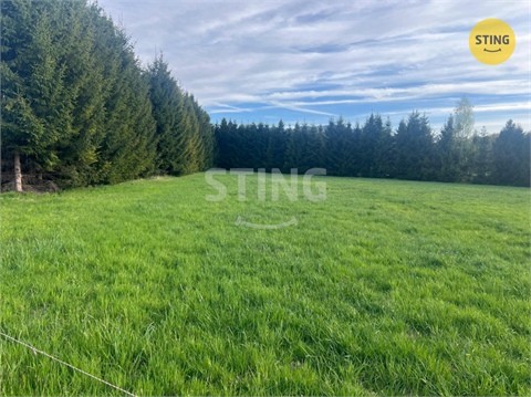 Prodej louky, 8 800 m² - 2