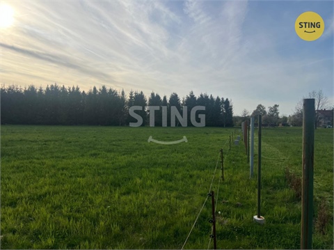 Prodej louky, 8 800 m² - 0