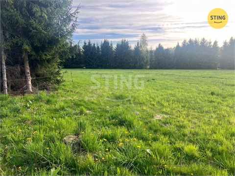 Prodej louky, 8 800 m² 2