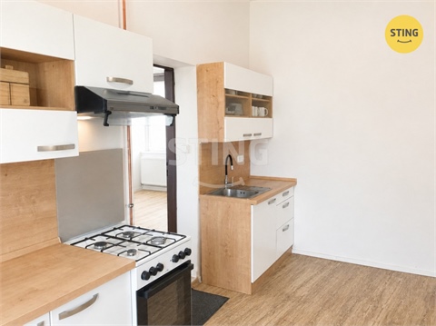 Pronájem bytu 5+1, 157 m² 14