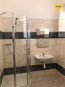 Pronájem bytu 5+1, 157 m² 4