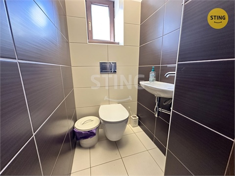 Pronájem rodinného domu, 230 m² 10