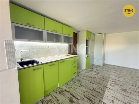 Pronájem rodinného domu, 230 m² - 22