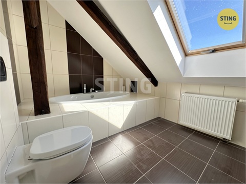 Pronájem rodinného domu, 230 m² - 18