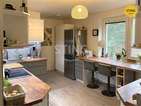 Prodej rodinného domu, 420 m² - 10