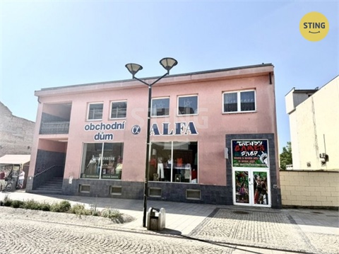 Pronájem obchodních prostor, 150 m² 10