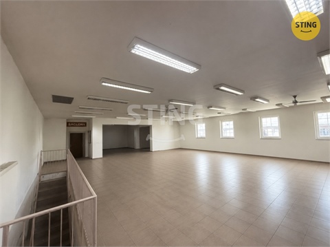 Pronájem obchodních prostor, 150 m² - 4