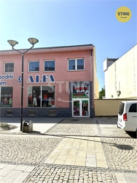 Pronájem obchodních prostor, 150 m² - 8