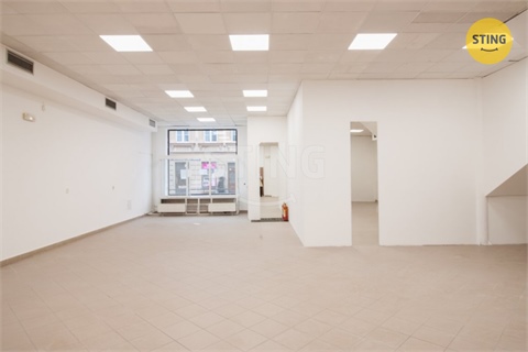 Pronájem obchodních prostor, 118 m² 2
