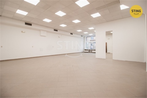 Pronájem obchodních prostor, 118 m² 4