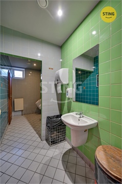 Pronájem komerčního objektu, 240 m² - 22