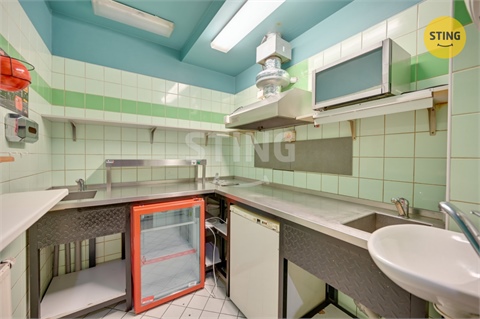 Pronájem komerčního objektu, 240 m² - 20