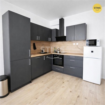 Pronájem bytu 2kk, 56 m² 0