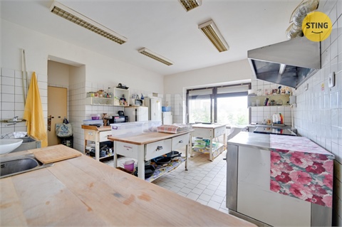 Prodej rodinného domu, 360 m² - 10