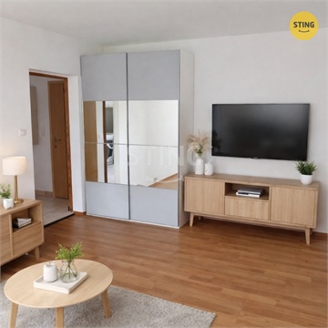 Pronájem bytu 1+1, 41 m² - 4